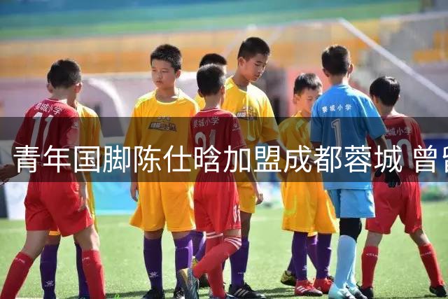 青年国脚陈仕晗加盟成都蓉城 曾留洋法国锻造防守能力